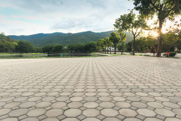 Trusted Manton, MI Driveway Pavers Experts